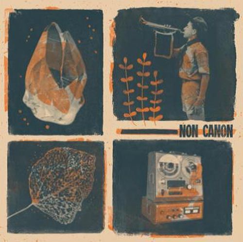 Non Canon [LP] - VINYL