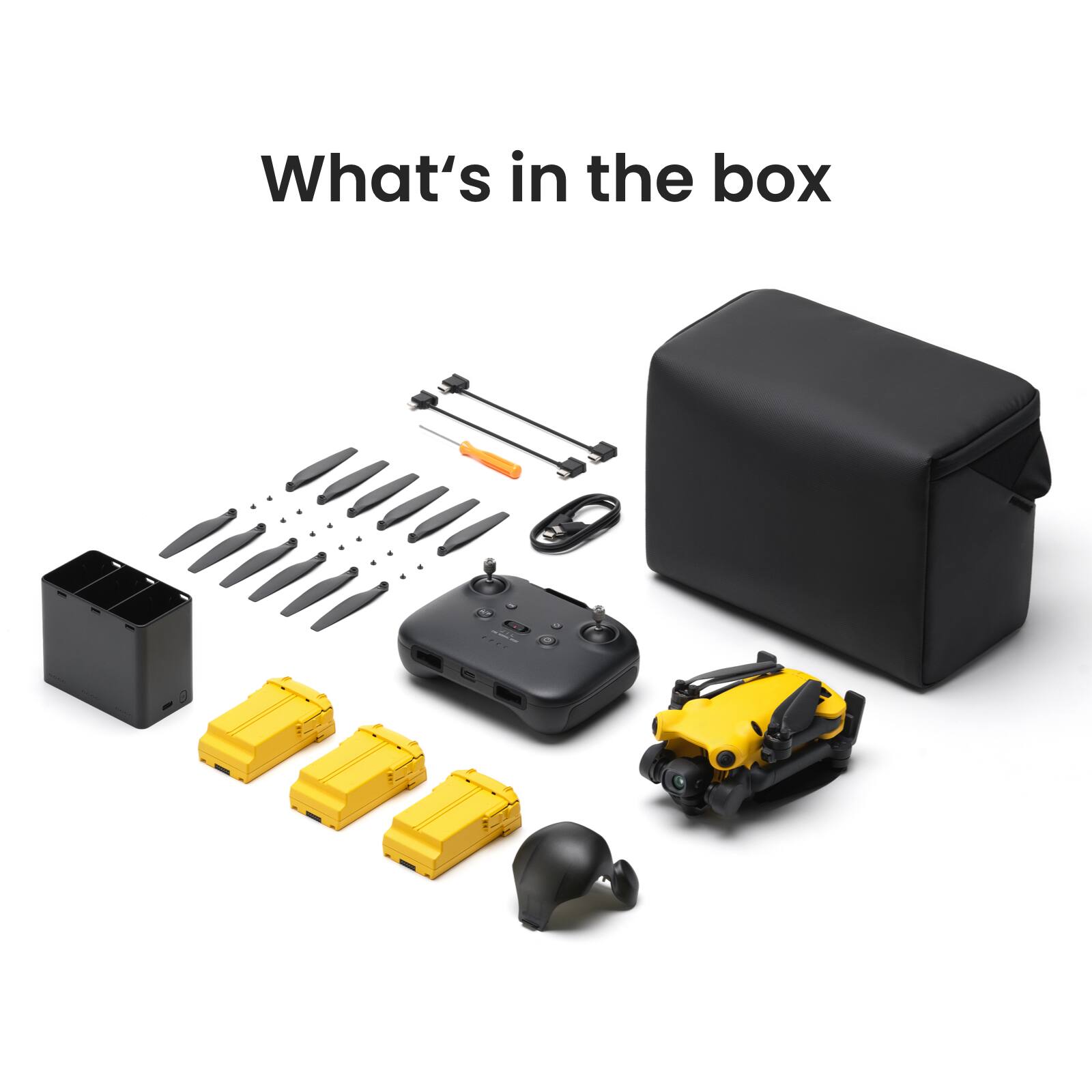 What's in the box