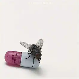 Red Hot Chili Peppers - I'm With You - VINYL LP