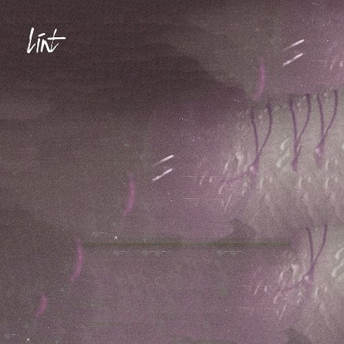 

Línt [12 inch Vinyl Single]