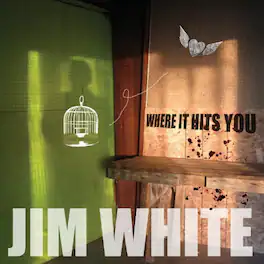 Jim White - Where It Hits You - VINYL LP