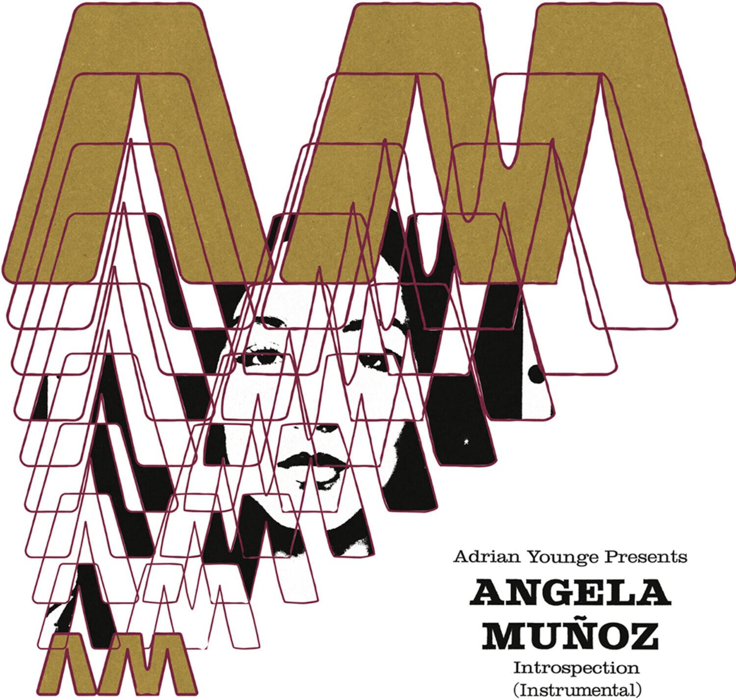 Adrian Younge Presents  
ANGELA MÚÑOZ  
Introspection (Instrumental)