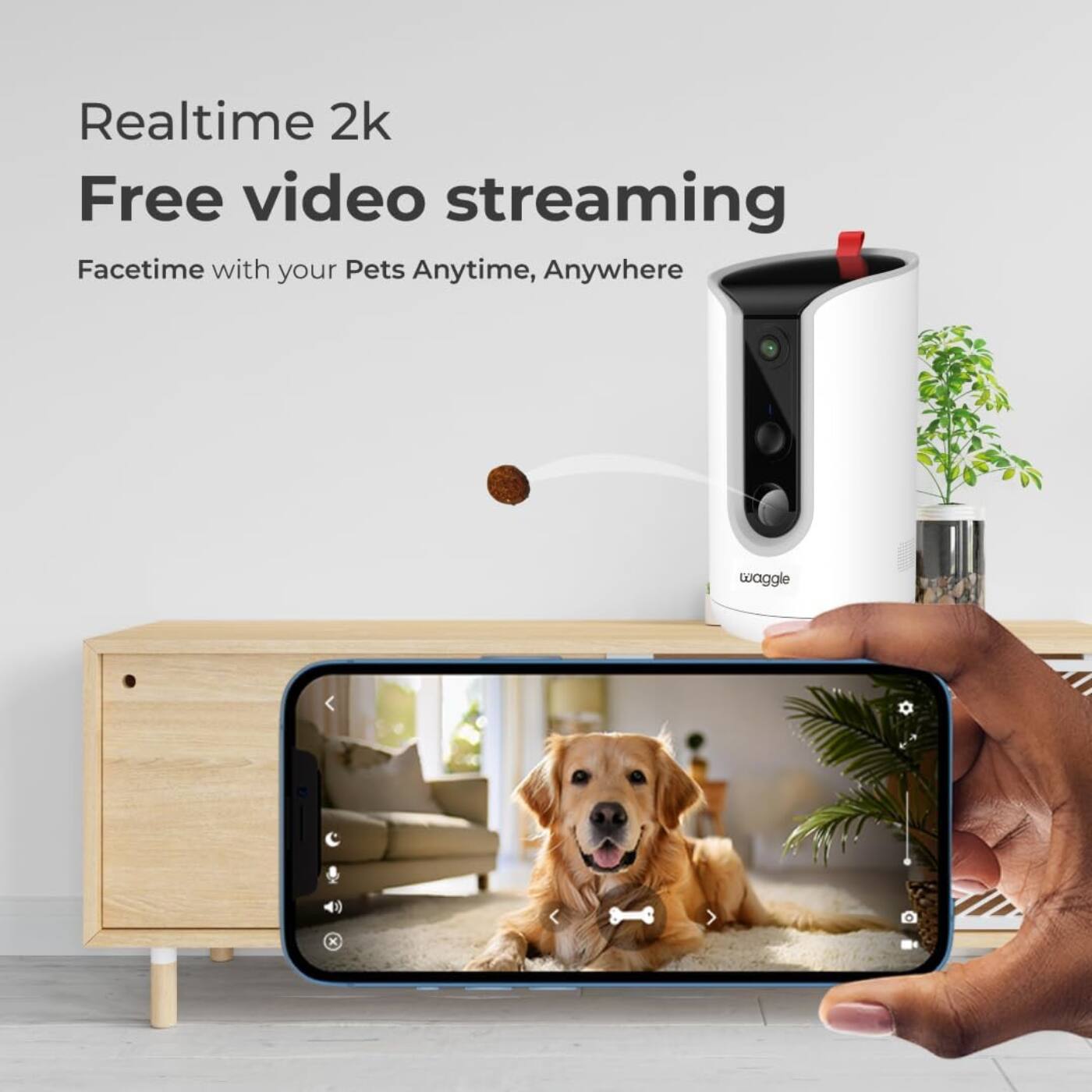 Realtime 2k Free video streaming  
Facetime with your Pets Anytime, Anywhere  
waggle