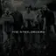 Front. The SteelDrivers [LP].
