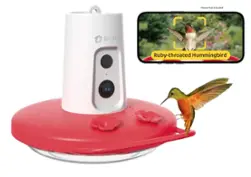 Birdfy Humming Bird Feeder with Camera, 1080P FHD Hummingbird Feeder Camera with Ant Moat - Red&White - Front_Zoom