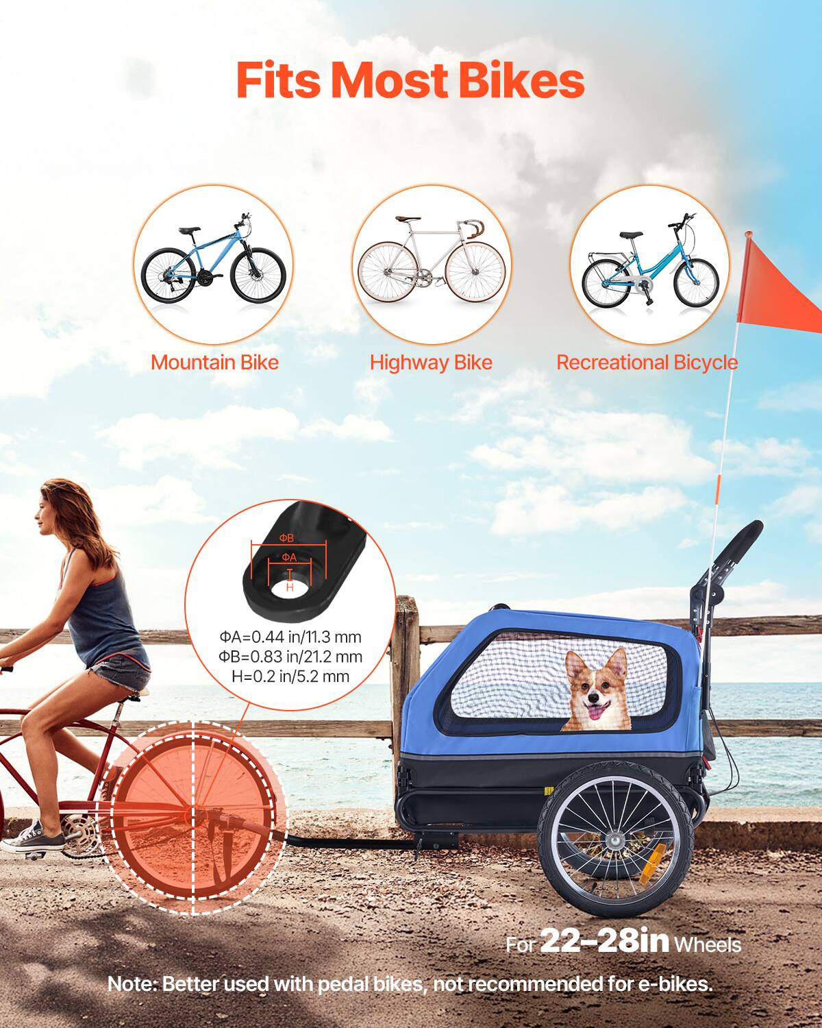 Fits Most Bikes  
Mountain Bike  
Highway Bike  
Recreational Bicycle  

ΦA = 0.44 in / 11.3 mm  
ΦB = 0.83 in / 21.2 mm  
H = 0.2 in / 5.2 mm  

For 22-28in Wheels  

Note: Better used with pedal bikes, not recommended for e-bikes.