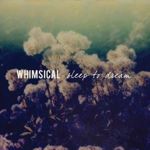 

Sleep to Dream [Color Vinyl] [LP] - VINYL