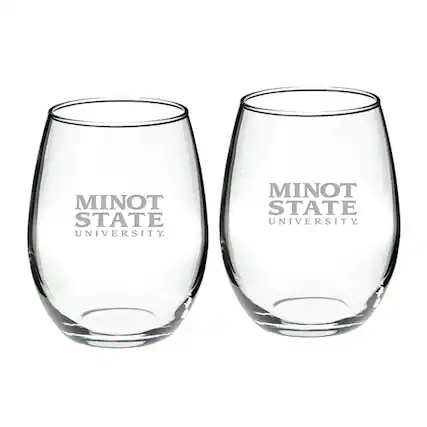 MINOT STATE UNIVERSITY
MINOT STATE UNIVERSITY
