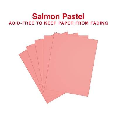 Salmon Pastel  
ACID-FREE TO KEEP PAPER FROM FADING