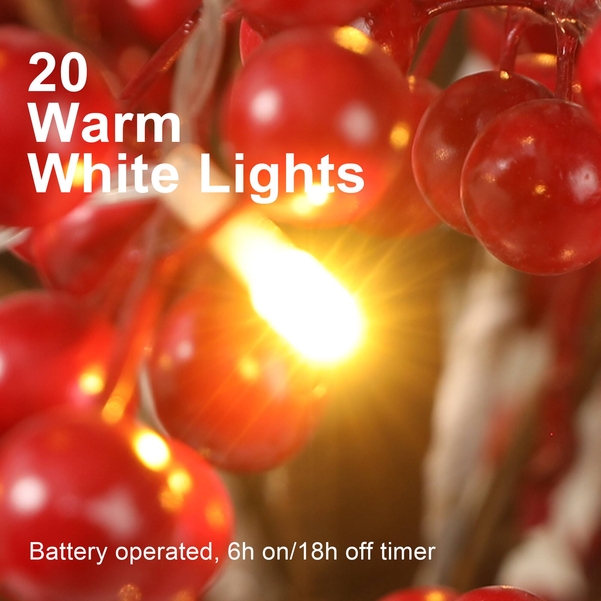 20 Warm White Lights

Battery operated, 6h on/18h off timer
