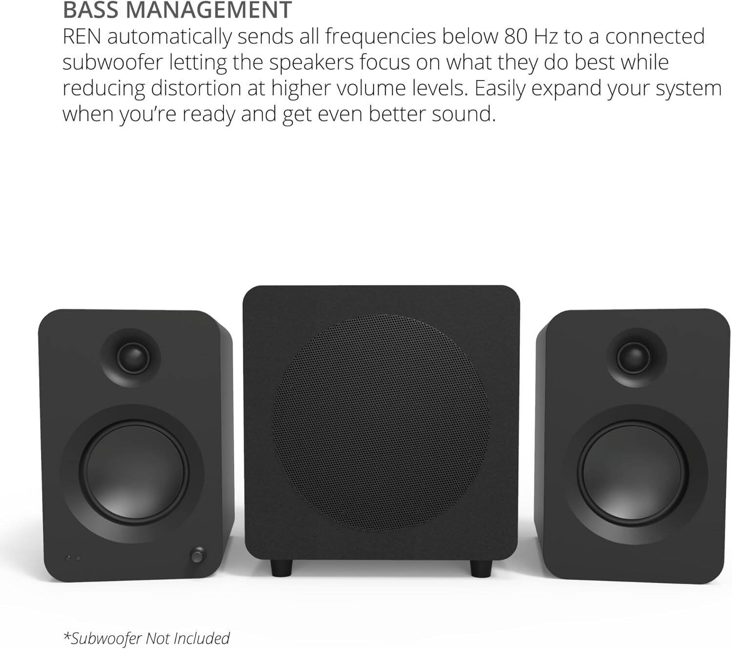 **BASS MANAGEMENT**

REN automatically sends all frequencies below 80 Hz to a connected subwoofer, letting the speakers focus on what they do best while reducing distortion at higher volume levels. Easily expand your system when you're ready and get even better sound.

*Subwoofer Not Included
