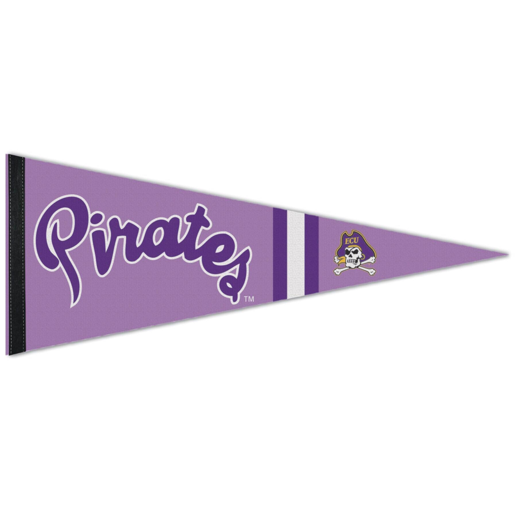 Pirates TM ECU