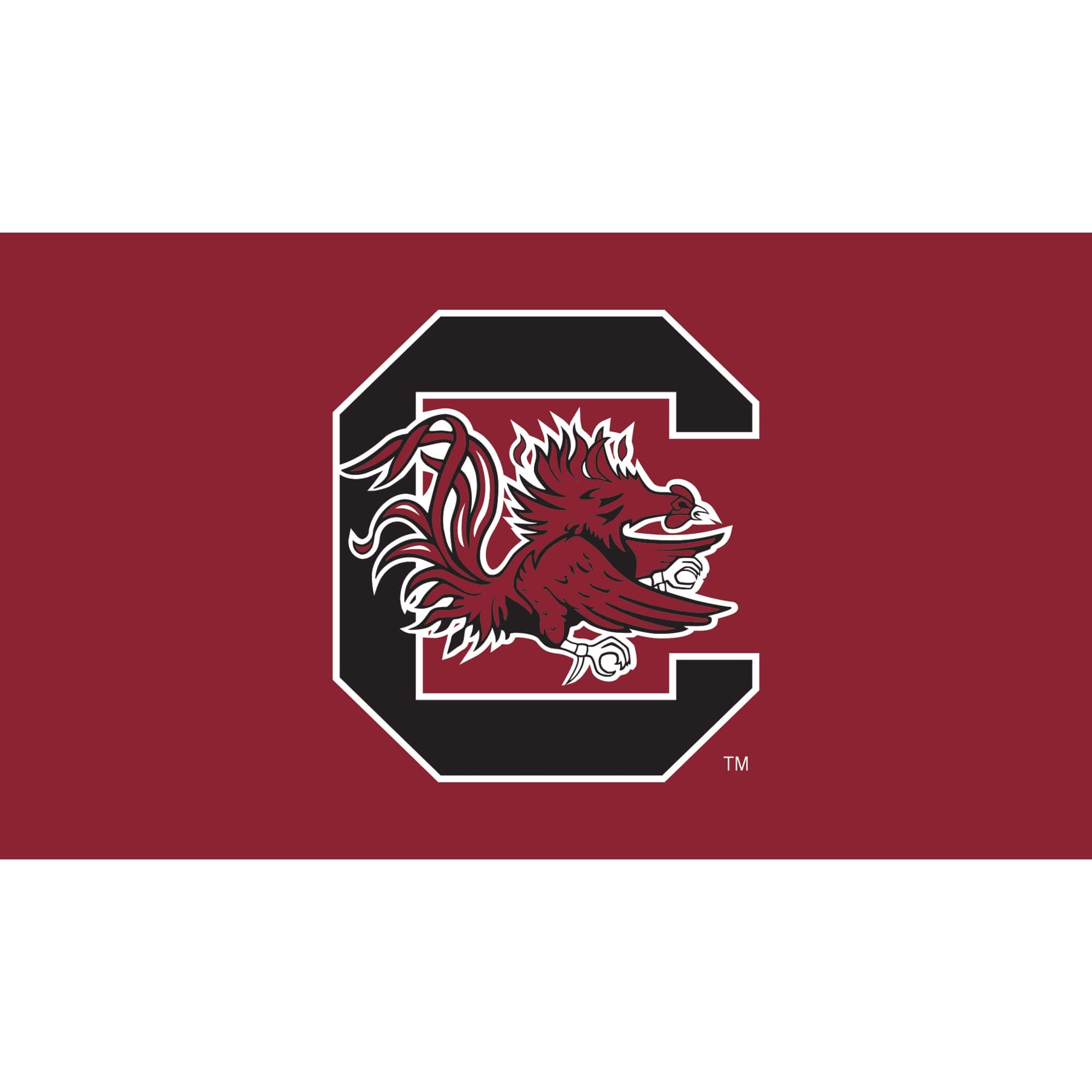 Evergreen Enterprises - South Carolina Gamecocks 28" x 16" Turf Mat - Multicolor