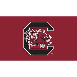 Evergreen Enterprises - South Carolina Gamecocks 28" x 16" Turf Mat - Multicolor