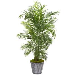 BreeBe - 63" Areca Palm Tree in Planter UV Resistant (Indoor/Outdoor) - Green