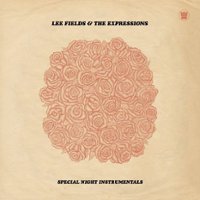 Special Night Instrumentals [LP] - VINYL - Front_Standard