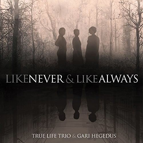

Like Never & Like Always [LP] - VINYL