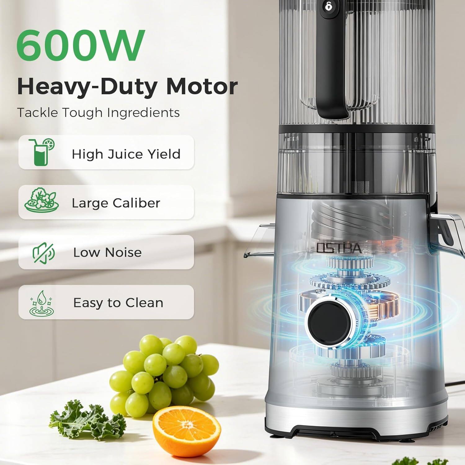 600W Heavy-Duty Motor  
Tackle Tough Ingredients  
High Juice Yield  
Large Caliber  
Low Noise  
Easy to Clean