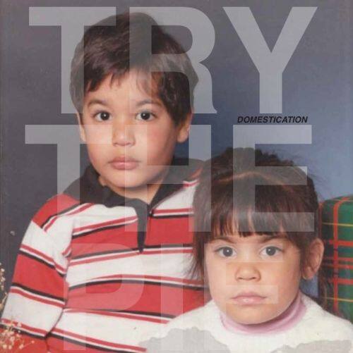 

Domestication [LP] - VINYL