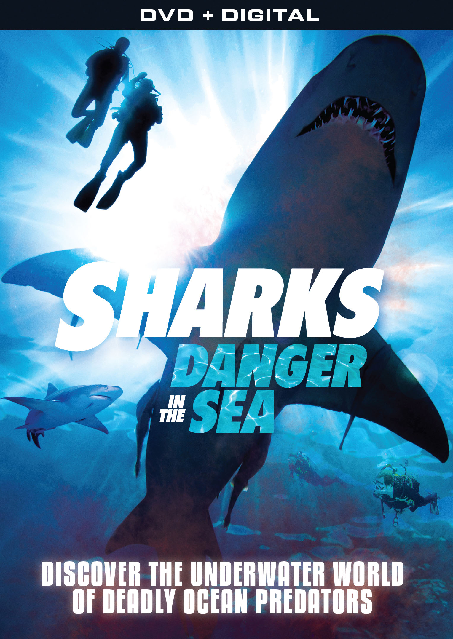 Sharks: Danger in the Sea [DVD]