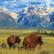 Back. Eurographics - Grand Teton National Park Puzzle, 1000 Pieces.