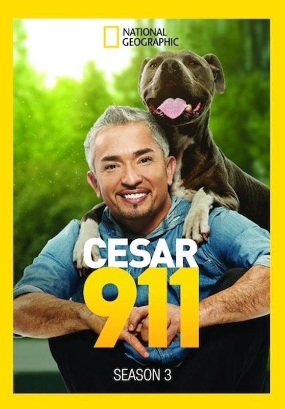 Cesar 911: Season 3 [2 Discs] [DVD]