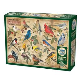 Outset Media - Outset Media: Cobble Hill 1000 Piece Puzzle: Popular Backyard Wild Birds of North America