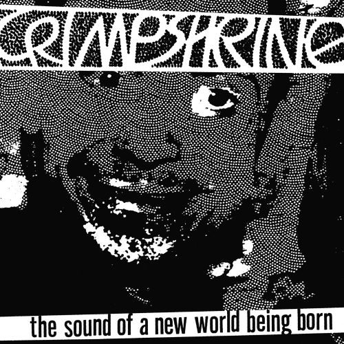  The Sound of a New World Being Born [LP] - VINYL