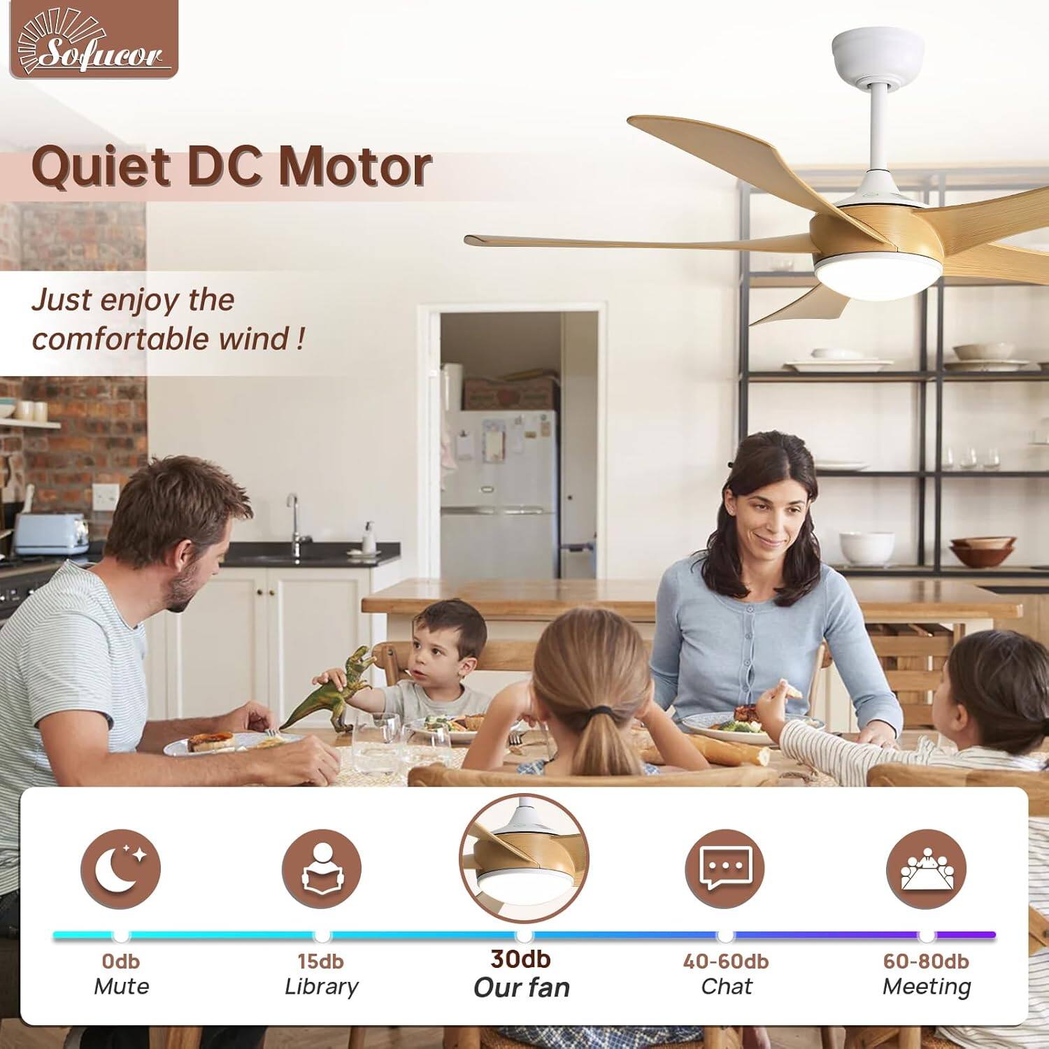 Quiet DC Motor

Just enjoy the comfortable wind!

0db Mute  
15db Library  
30db Our fan  
40-60db Chat  
60-80db Meeting