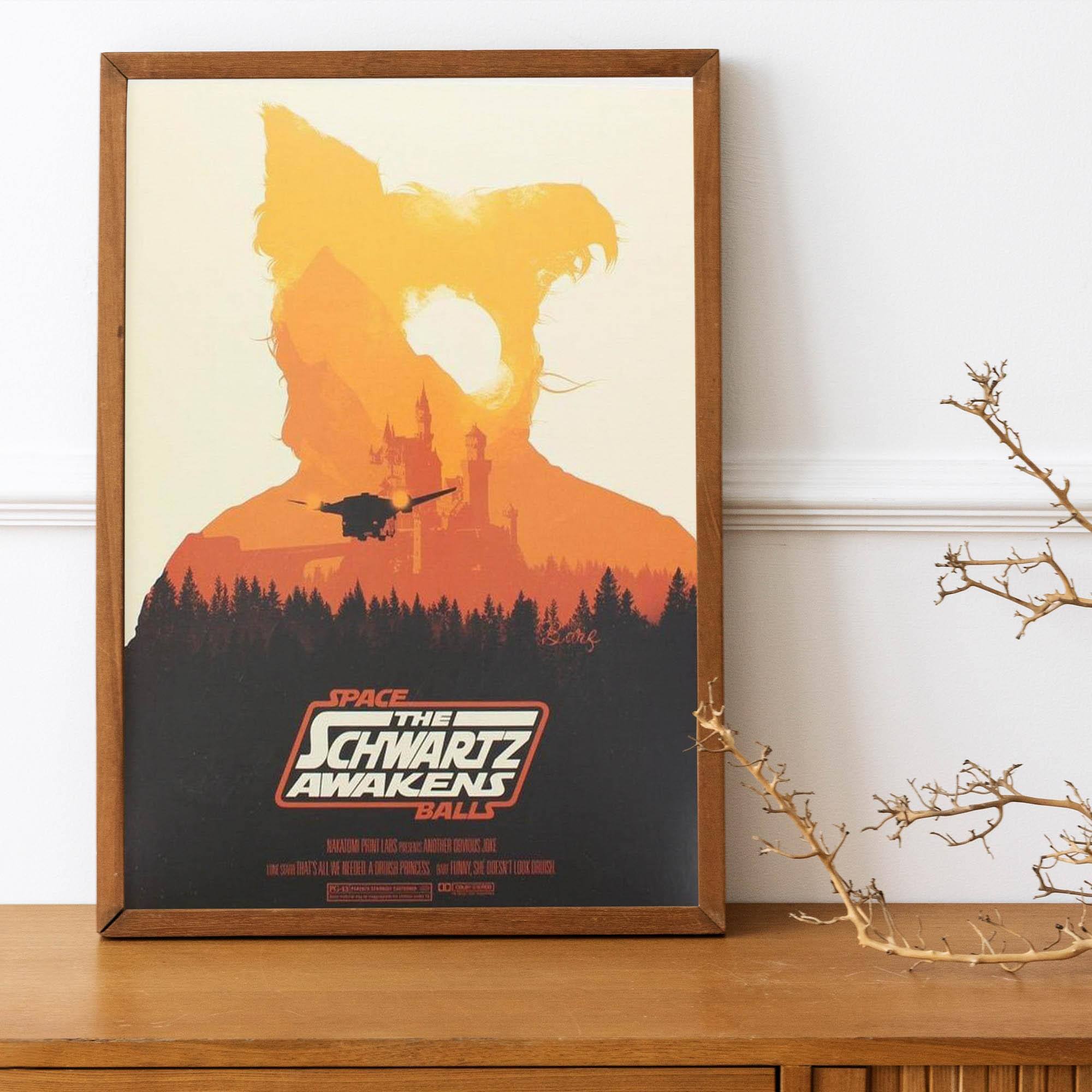 SPACE THE SCHWARTZ AWAKENS BALLS