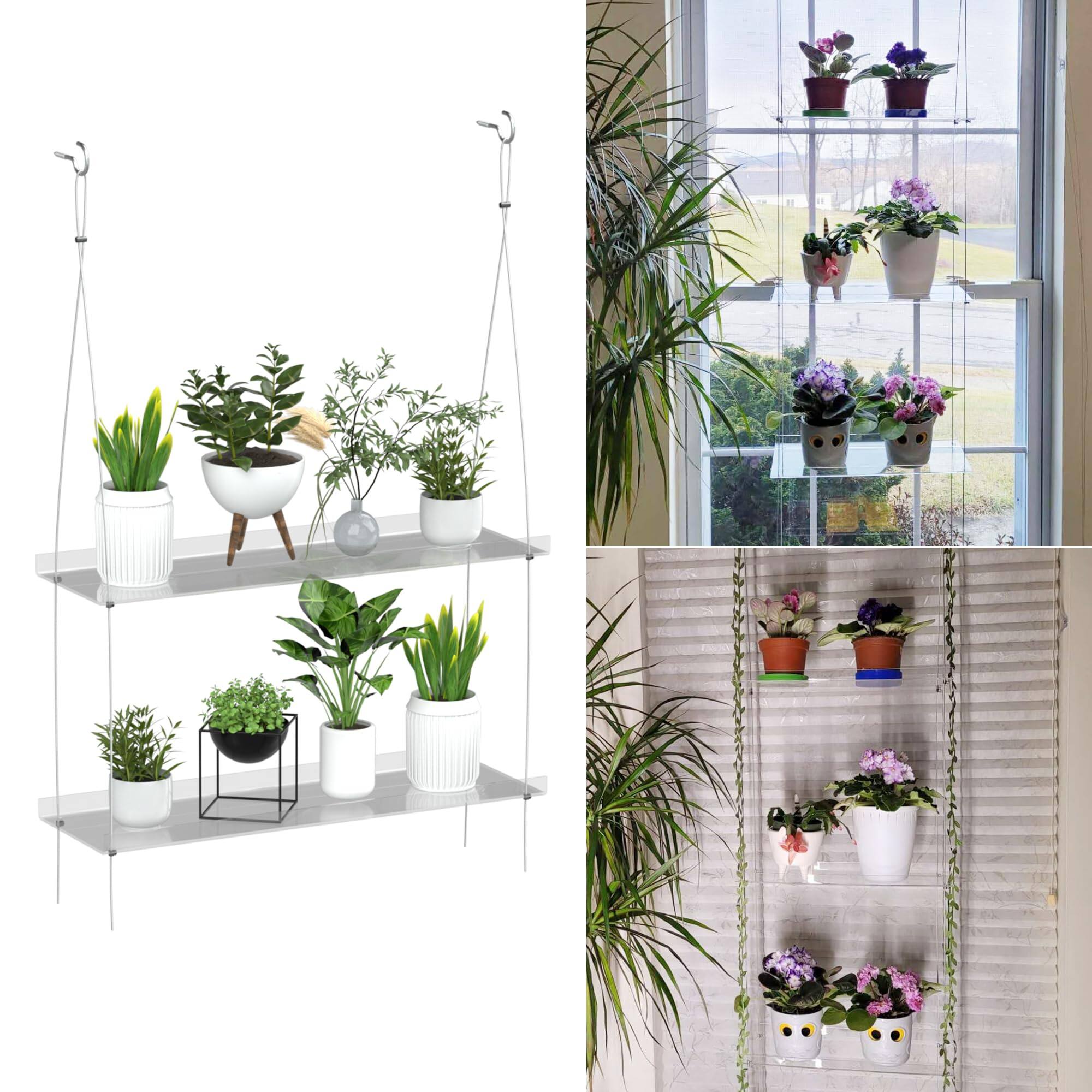 Front. Reds Spade - Jolitac Acrylic Window Plant Shelves, Hanging Indoor Wall Plant Stand, 4-Tier - Clear 2-Tier.