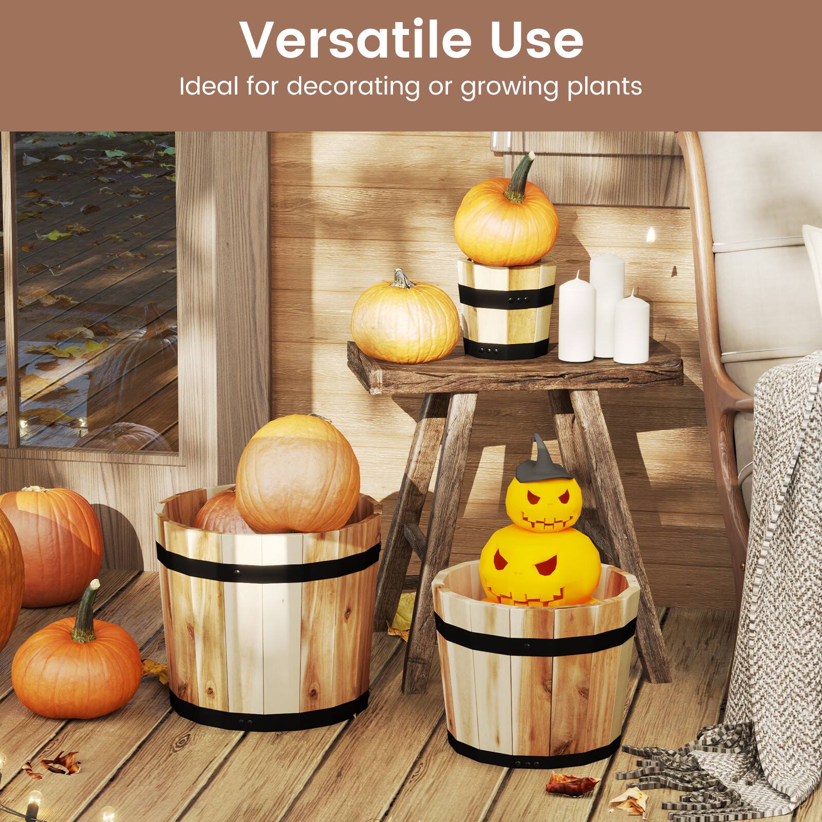 Versatile Use  
Ideal for decorating or growing plants