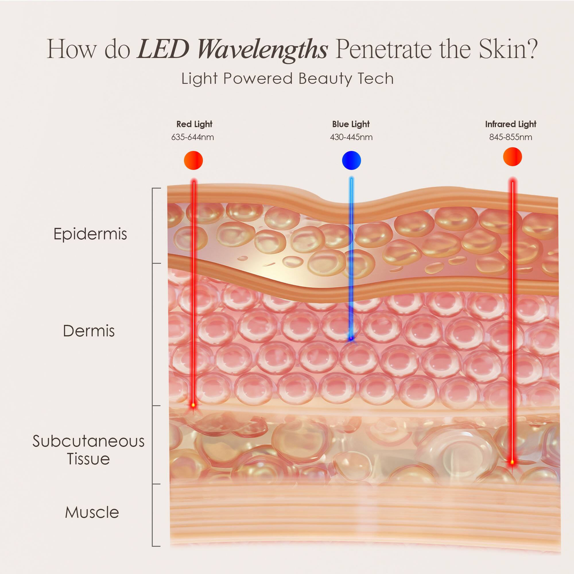 How do LED Wavelengths Penetrate the Skin?  
Light Powered Beauty Tech  

Red Light 635-644nm  
Blue Light 430-445nm  
Infrared Light 845-855nm  

Epidermis  
Dermis  
Subcutaneous Tissue  
Muscle