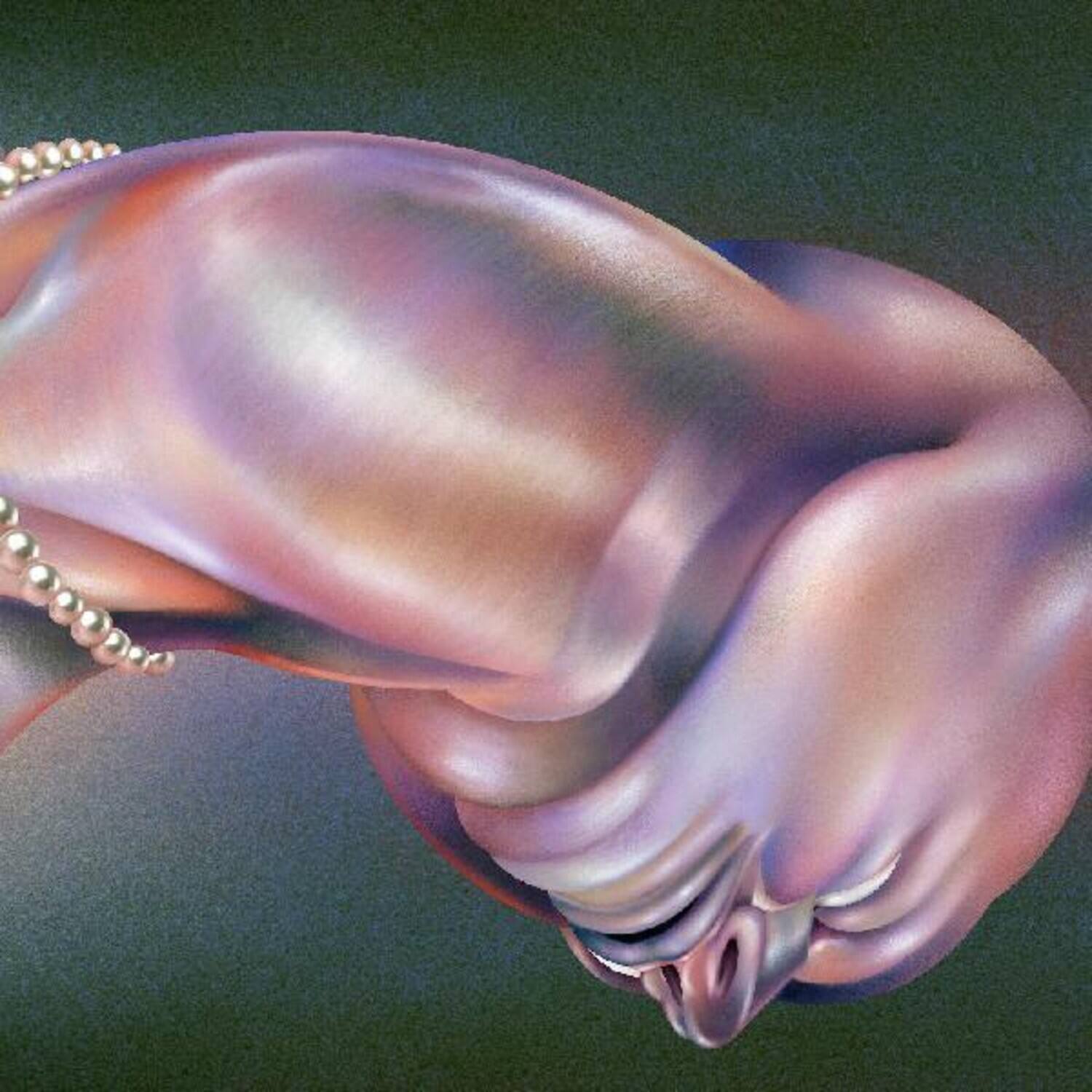 Front. Walt Disco - The Warping   - VINYL LP.