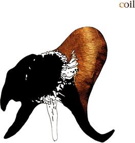 Coil - Black Antlers - VINYL LP
