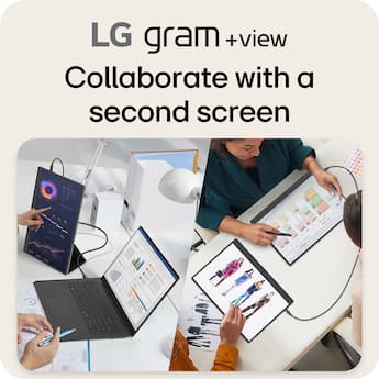 LG gram +view 17” IPS WQXGA 60Hz Portable Monitor (USB Type C LG gram +view 17” IPS WQXGA 60Hz Portable Monitor (USB Type C