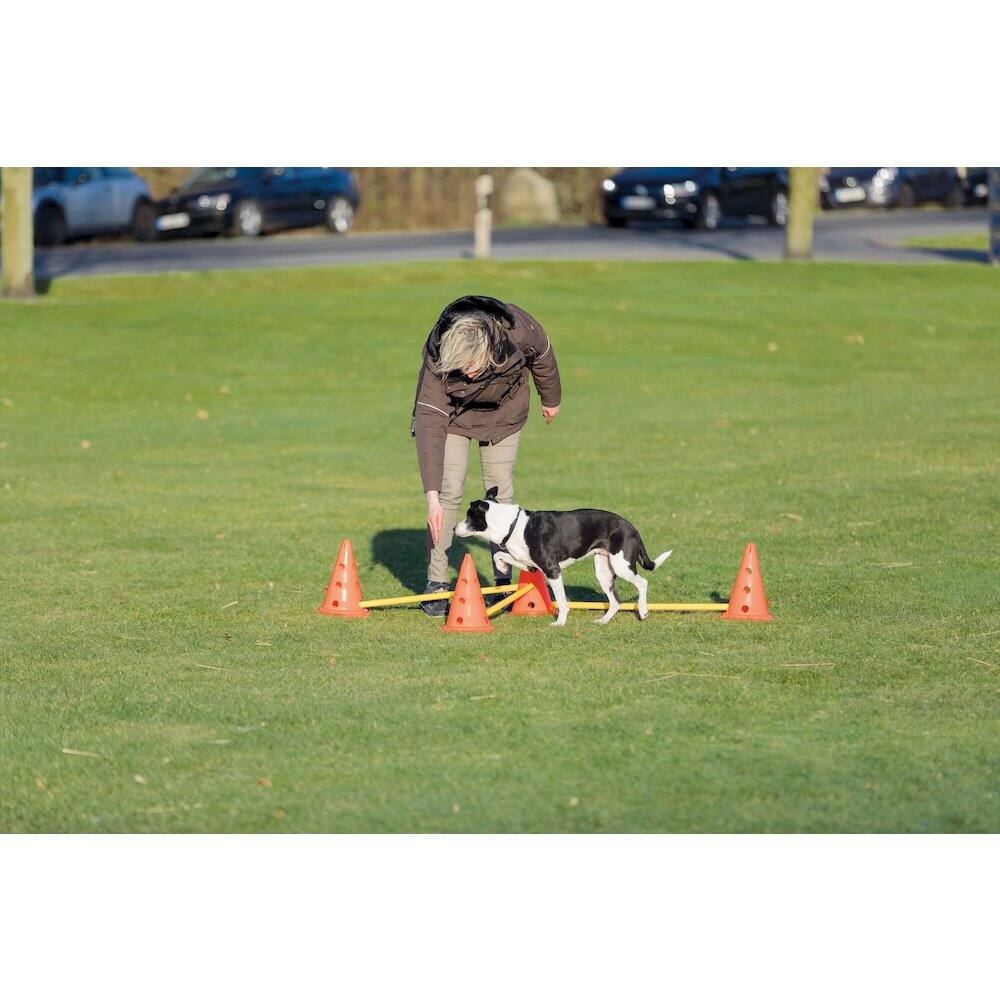 Alt View 4. TRIXIE - Dog Agility Hurdle Cone Set, Obstacle Training - Orange/Yellow.