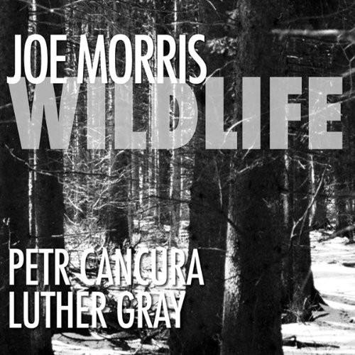 JOE MORRIS  
WILDLIFE  

PETR CANGURA  
LUTHER GRAY