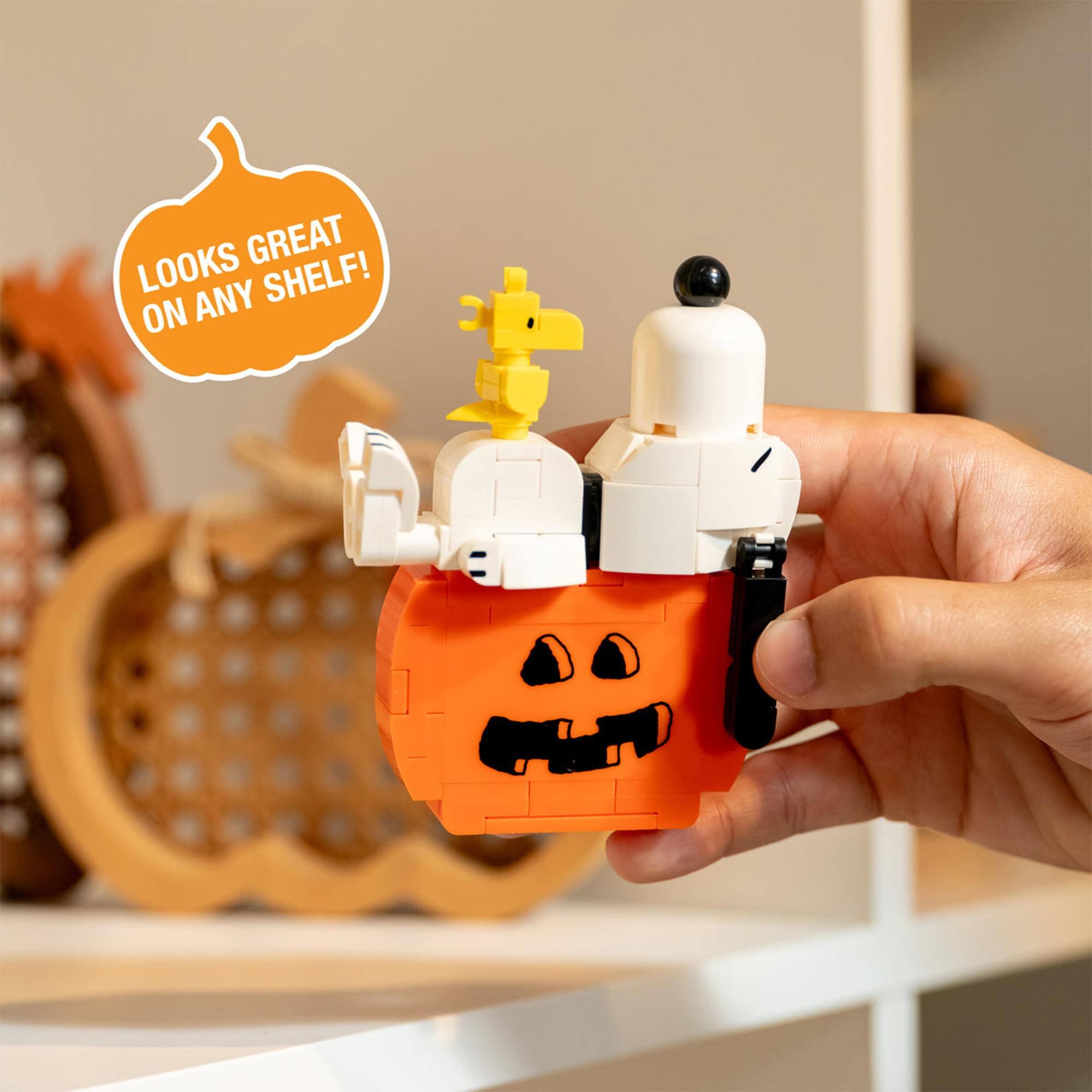 LOOKS GREAT ON ANY SHELF!