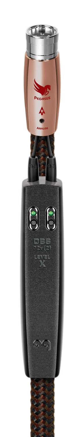 The text on the image reads "PEGASUS R ANALOG 99 9 DBS 72v(2) LEVEL X."