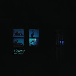 Field Mouse - Meaning - VINYL LP