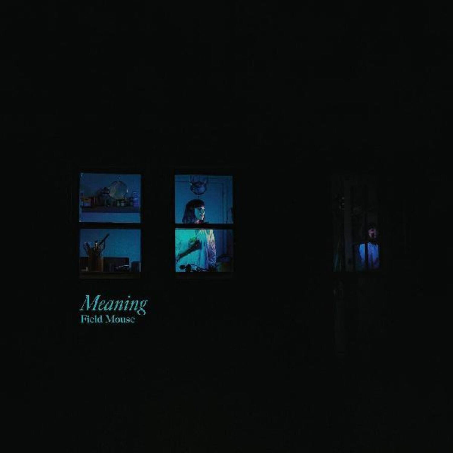 Field Mouse - Meaning   - VINYL LP