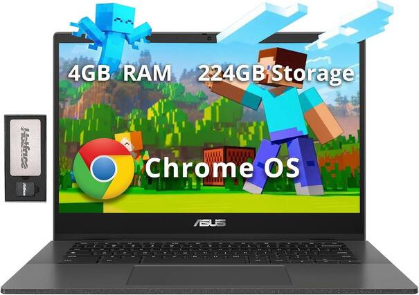 4GB RAM
224GB Storage
Chrome OS
ASUS