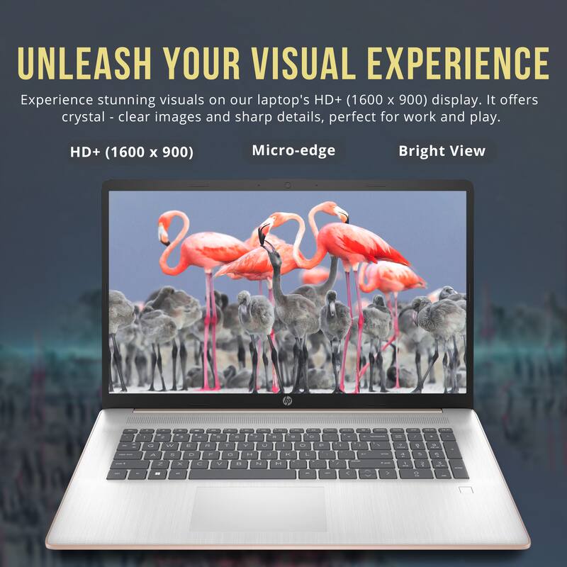 UNLEASH YOUR VISUAL EXPERIENCE

Experience stunning visuals on our laptop's HD+ (1600 x 900) display. It offers crystal-clear images and sharp details, perfect for work and play.

HD+ (1600 x 900)  
Micro-edge  
Bright View