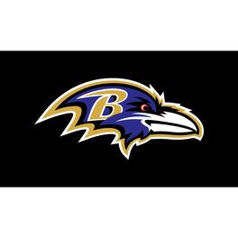 Evergreen Enterprises - Baltimore Ravens 28" x 16" Turf Mat - Multicolor