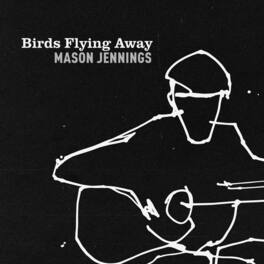 Mason Jennings - Birds Flying Away - VINYL LP