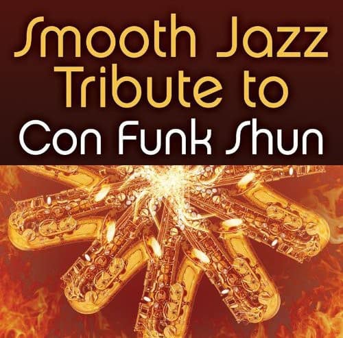 The Smooth Jazz All Stars - Smooth Jazz Tribute to Con Funk Shun   - COMPACT DISCS [CD] price history on PriceWatchPro