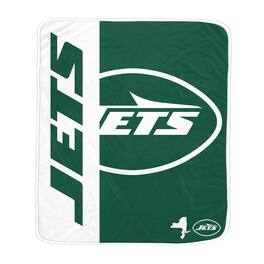Pegasus - 50" x 60" Endzone Ultra Soft Throw Blanket - Multicolor