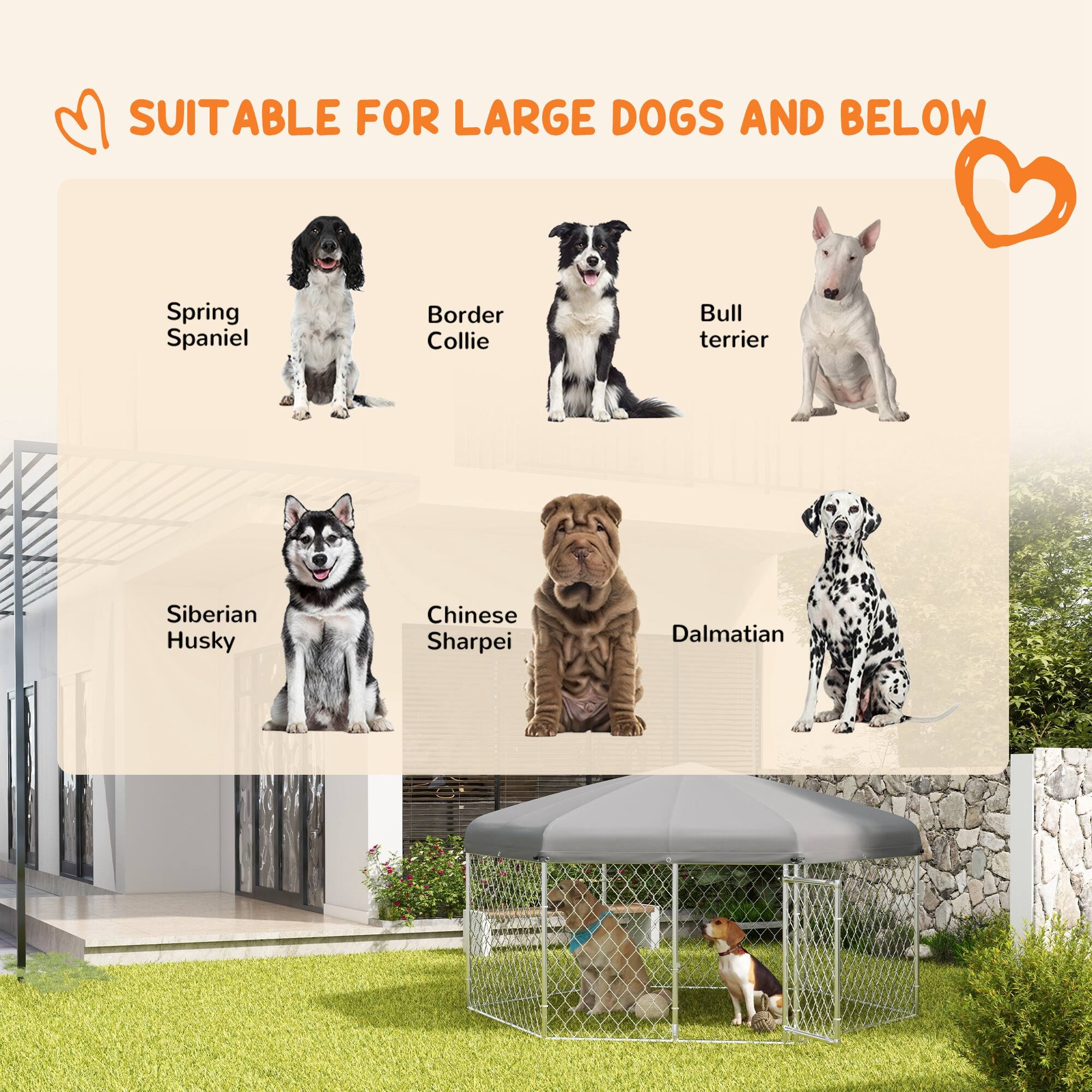 SUITABLE FOR LARGE DOGS AND BELOW

- Spring Spaniel
- Border Collie
- Bull Terrier
- Siberian Husky
- Chinese Sharpei
- Dalmatian