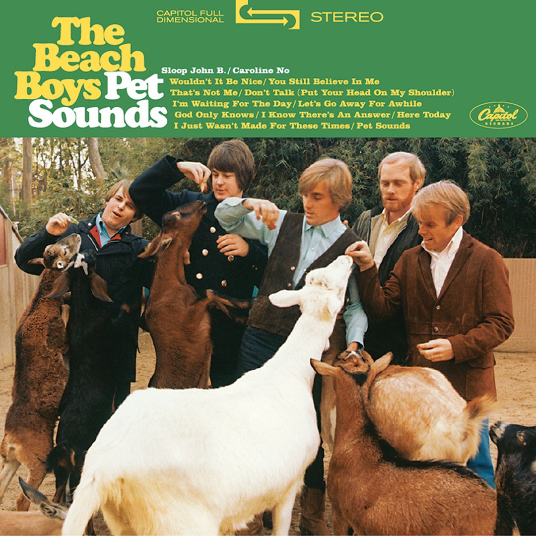 Pet Sounds [2 x 45 RPM Vinyl LP 200 Gram] [LP] VINYL - Best Buy